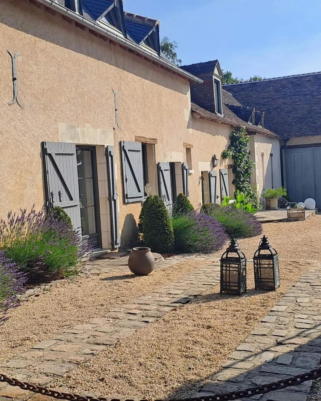 Hotel Domaine De La Limetiere Neuvy-le-Roi Exterior foto